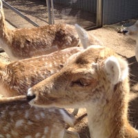 9/9/2012にDavid W.がHalls Gap Zooで撮った写真