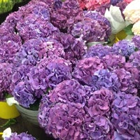 Photo taken at AJF Wholesale by Deb S. on 5/11/2012