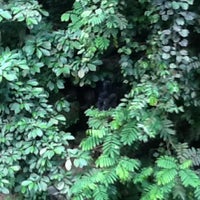 Review Menara Indah, Taman TAR