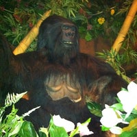 Rainforest Cafe (Now Closed) - 24 tips