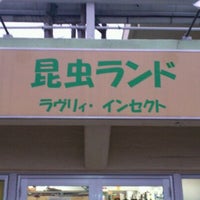 Photo taken at 昆虫ランド by Kamiyama S. on 10/20/2011