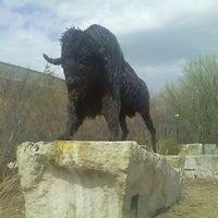 Photo taken at American Bison by Flora le Fae on 5/10/2011
