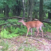 Photo taken at Canaan Valley Resort &amp; Conference Center by Amanda M. on 6/22/2012