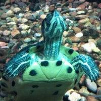 Cabela's - Village West - 24 tips from 4668 visitors