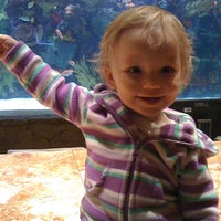 Photo taken at The Mirage Aquarium by Timothy T. on 3/29/2011