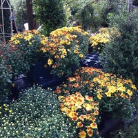 Southern Horticulture Flower Shop - 