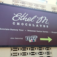 Ethel M Chocolate Factory Cactus Garden Chocolate Shop In Green Valley North