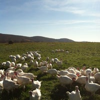11/28/2011 tarihinde Casey K.ziyaretçi tarafından Cobblestone Valley Farm'de çekilen fotoğraf