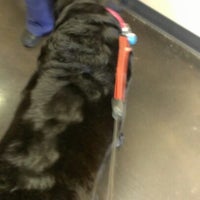 Photo taken at Circle City Veterinary Emerg &amp;amp; Specialty Hospital by Nancy M. on 9/7/2012