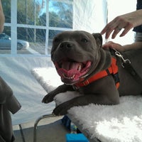 Photo taken at Pet-Tique by Greg D. on 5/18/2012