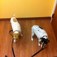 รูปภาพถ่ายที่ Montrose Animal Hospital โดย Kevin R. เมื่อ 7/27/2012