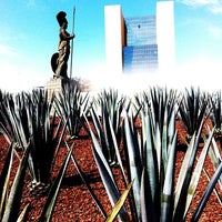 6/1/2012 tarihinde Daniel R.ziyaretçi tarafından Guadalajara'de çekilen fotoğraf