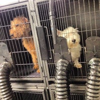 Photo taken at Howlistic Grooming by Jordan D. on 6/26/2012