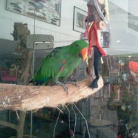 Photo taken at Birds Pet Shop by Antonio F. on 2/12/2012