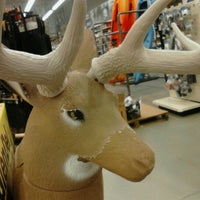 Photo taken at Gander Mountain by Alicia A. on 7/1/2012