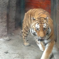 Photo prise au Jardin zoologique et botanique de Budapest par Armo H. le4/14/2012