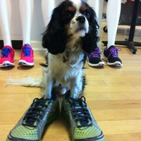 Photo taken at Georgetown Running Company - Chevy Chase by Lavar C. on 10/25/2011