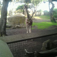 Photo taken at SF Muni - SF Zoo by Ian J. on 1/4/2012