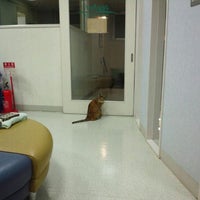 Photo taken at Zephyr Animal Hospital by Miyuki E. on 11/28/2011