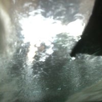 4/10/2011にKristin G.がCascades Car Washで撮った写真