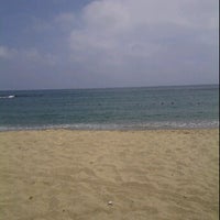 Playa Verde La Guaira Estado Vargas