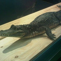 Foto tomada en Maritime Reptile Zoo  por Lindsay G. el 6/24/2011
