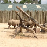 Photo taken at White Rhinoceros Exhibit @ Houston Zoo by Cornell J. on 5/5/2012
