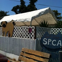 Photo taken at Santa Cruz SPCA by Luis C. on 7/12/2012