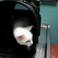 Photo taken at Gentle Care Animal Hospital by melisa t. on 8/25/2012