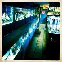 รูปภาพถ่ายที่ A World of Fish โดย Van H. เมื่อ 4/22/2012