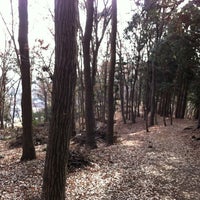 Photo taken at 相原中央公園 by tetsuya n. on 1/1/2012