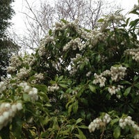 Photo taken at 村上菜園 by HIROTO on 4/3/2012