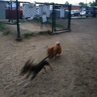 Photo taken at El Segundo Dog Park by Lauren N. on 8/21/2012