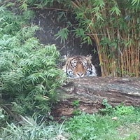 รูปภาพถ่ายที่ Auckland Zoo โดย Lincoln V. เมื่อ 7/4/2012