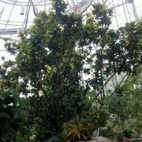 Photo taken at Butterfly Exhibit by Carlos Z. on 11/12/2011