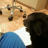 Photo taken at English Plaza Animal Hospital by Shell H. on 10/12/2011