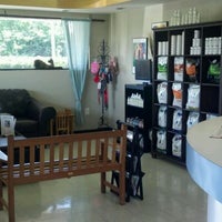 My Pets Animal Hospital - Veterinarian