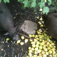 รูปภาพถ่ายที่ Highland Orchards Farm Market โดย Jennifer S. เมื่อ 8/16/2011