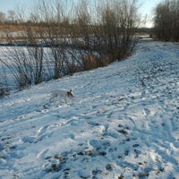 Photo taken at East Branch dog park by John H. on 1/29/2012