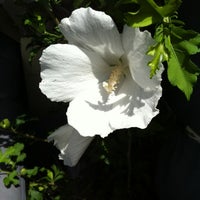 Southern Horticulture Flower Shop - 