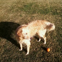 Photos At Cr Ranch American Ave