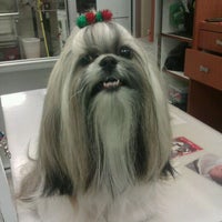 Photo taken at The Pet Station Salon And Boutique by Cassie H. on 1/7/2012
