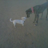 Photo taken at Downtown LA Arts District Dog Park by Shannon O. on 7/8/2012