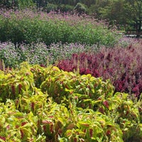 千葉県花植木センター 成田市 1 Visitor