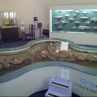 7/5/2012 tarihinde Edward O.ziyaretçi tarafından Museum of Coastal Carolina'de çekilen fotoğraf