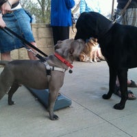 Photo taken at Pet-Tique by Greg D. on 3/22/2012