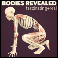 Photo taken at Bodies Revealed by jessica b. on 6/12/2011