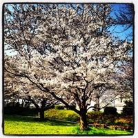 Photo taken at 京浜島ふ頭公園 by ころパパ on 4/8/2012