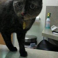 Photo taken at Surprise Animal Hospital by Kathrin on 2/2/2012