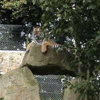Photo taken at Dartmoor Zoological Park by Laura M. on 8/26/2012